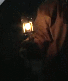 1298189522-Untitled1.gif