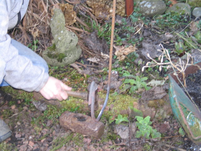 1299434389-IMG_0875_opt.jpg
