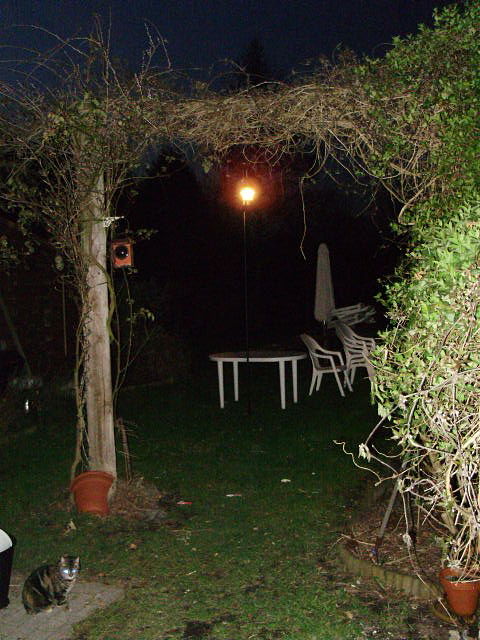 1301148472-P2120001_opt.jpg