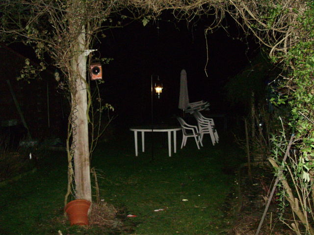 1301148495-P2120009_opt.jpg