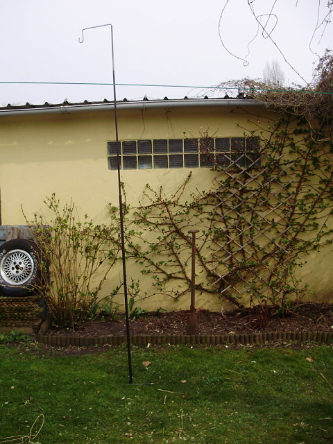 1301148532-P2130012_opt.jpg