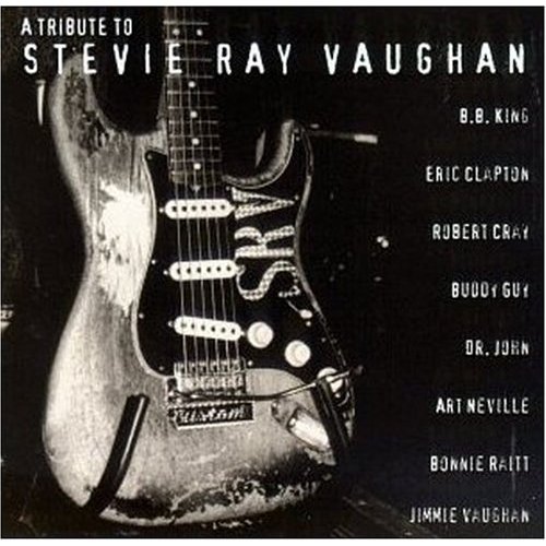1307483620-A_TRIBTUTE_TO_STEVIE_RAY_VAUGHAN.jpg