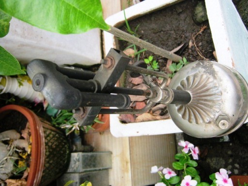 1333761705-IMG_0005.jpg