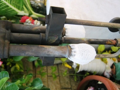 1333857056-IMG_0011.JPG