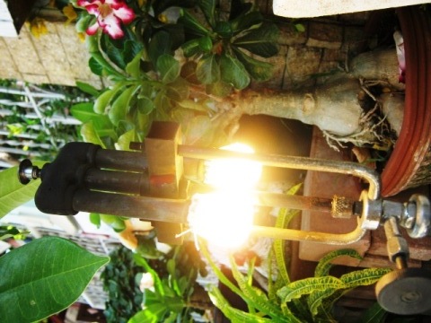 1333857113-IMG_0007.JPG