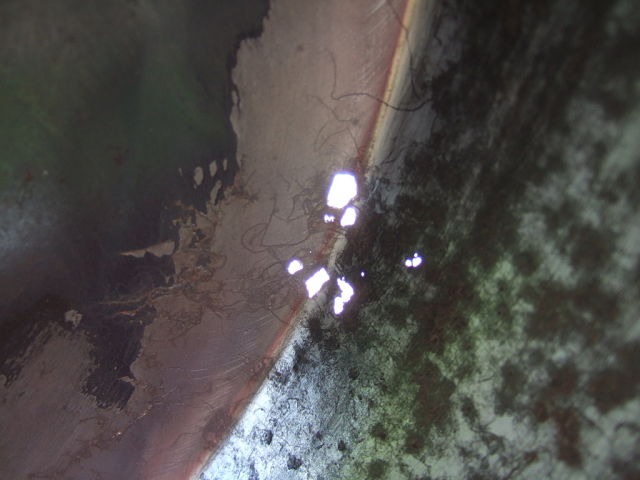 1342990774-DSCF2918_opt.jpg