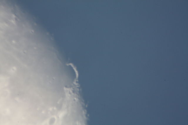 1351432821-1_opt.jpg