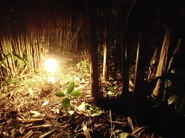 1353604974-lamps_007_opt.jpg
