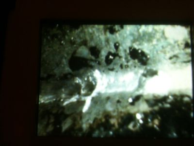 1360427437-photo_3__1__opt.jpg