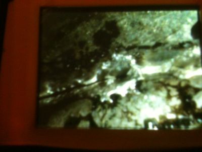 1360427531-photo_2__1__opt.jpg