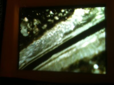 1360427610-photo_1__1__opt.jpg