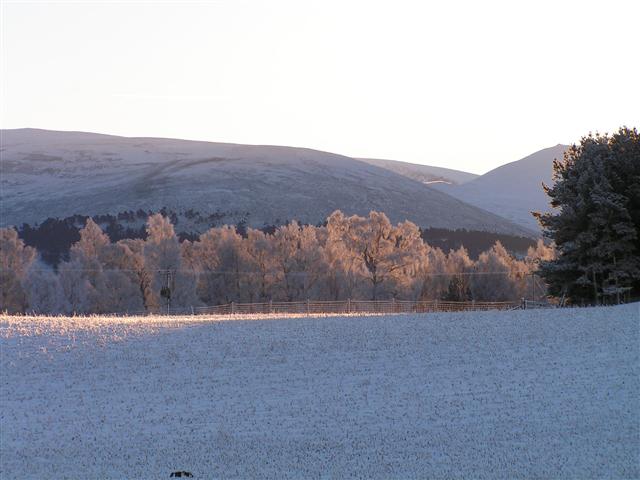 1362997612-0030__Small_.JPG