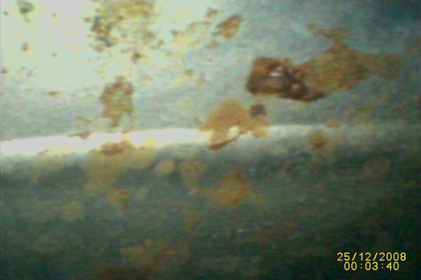 1364411498-Bore_c.jpg