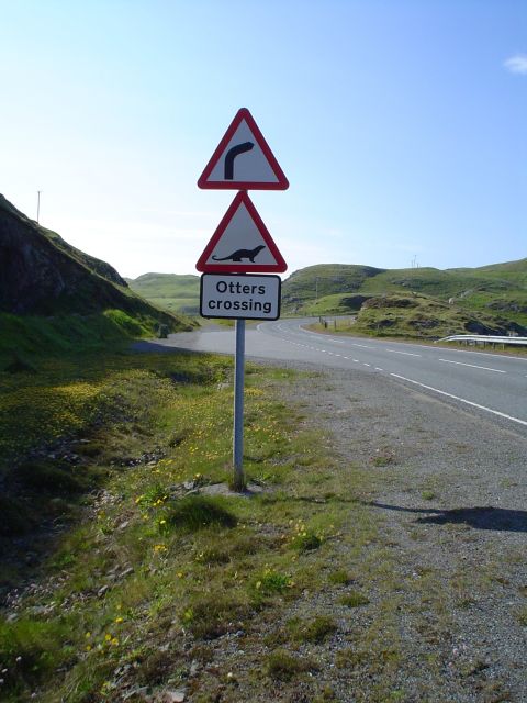 1372966497-SIGN_1_opt.jpg