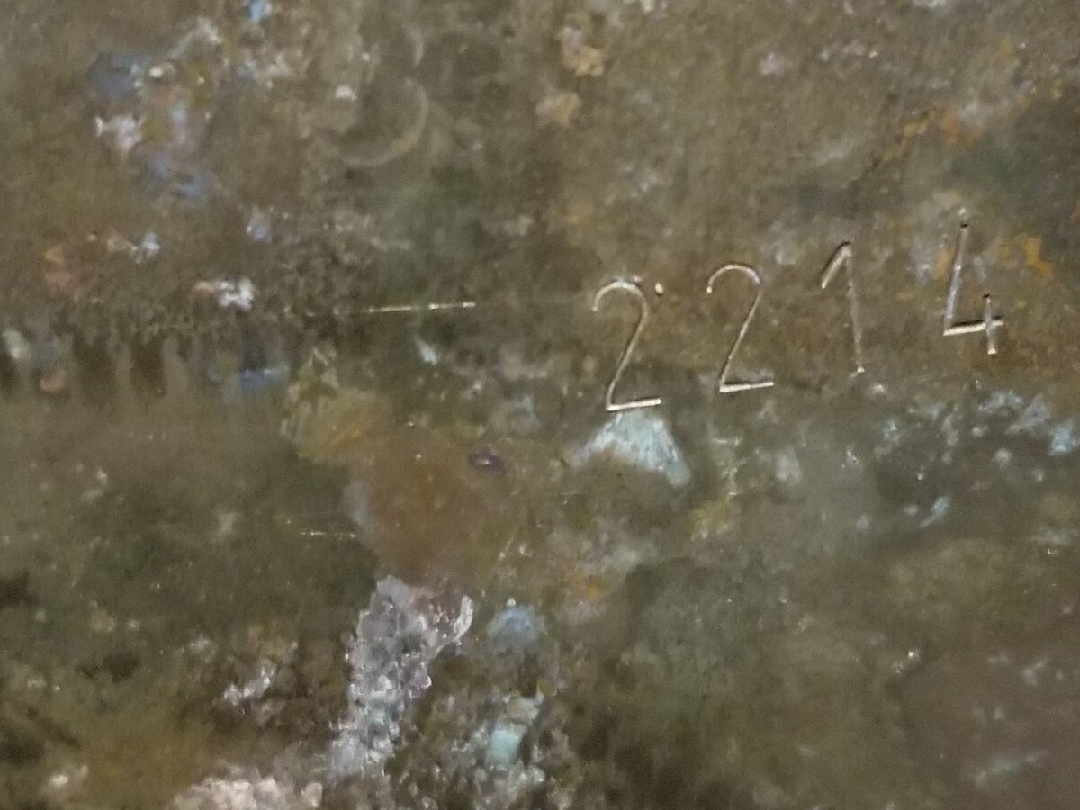 178396545_274512511044676_8378423387288481801_n.jpg