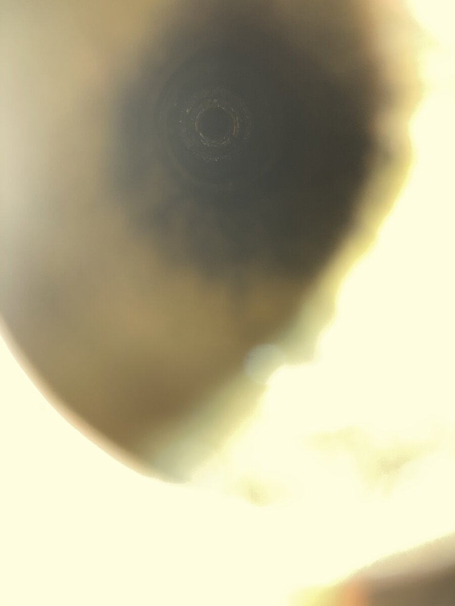 1DA3B572-39E3-4FD0-84BE-E448D65FB699.jpeg