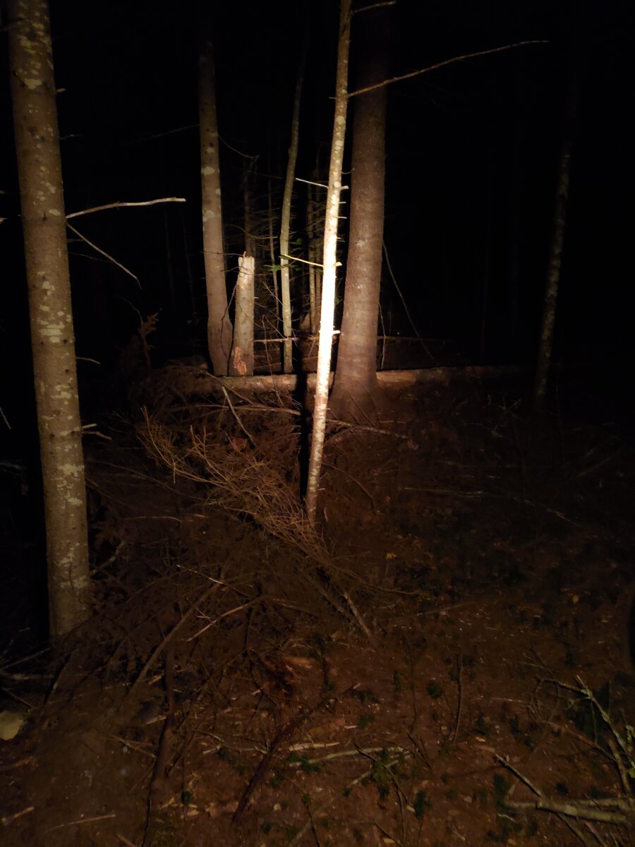 20200911_205318.jpg