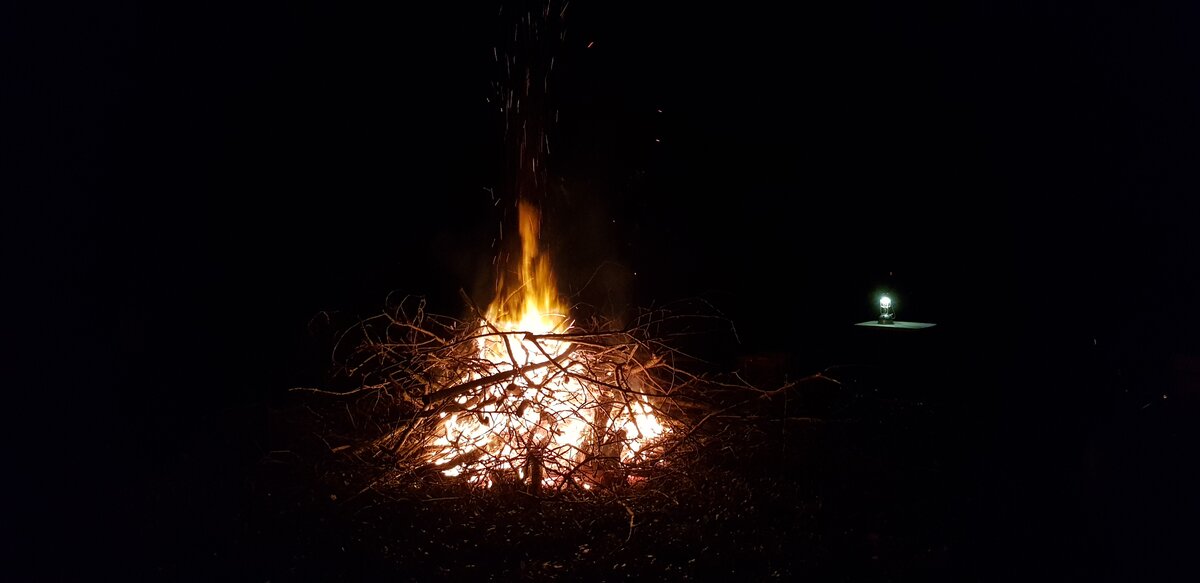 20201105_203029.jpg