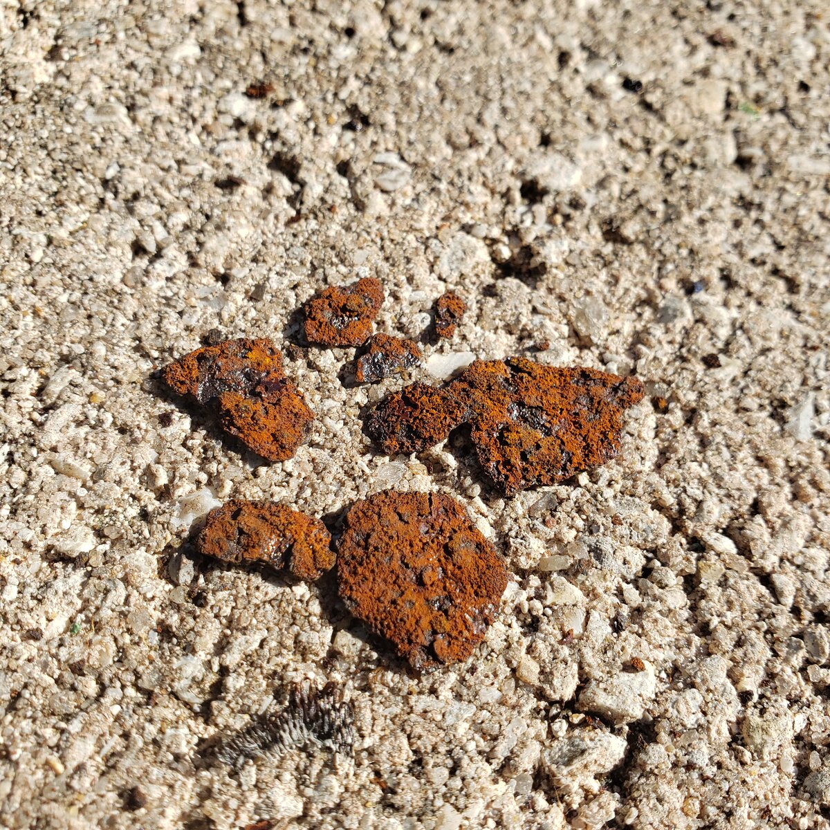 20201227_135854[1].jpg
