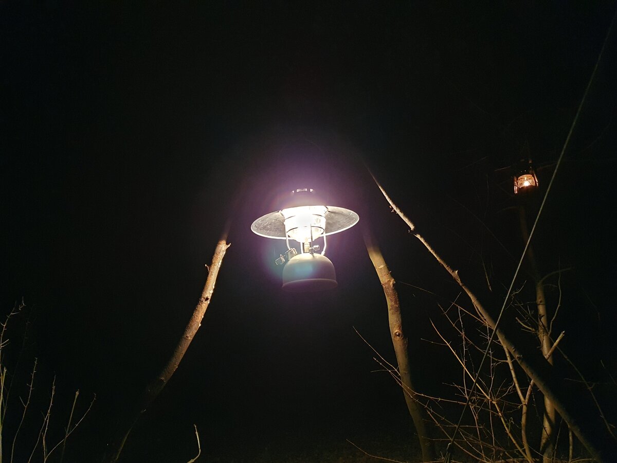 20210220_194544.jpg