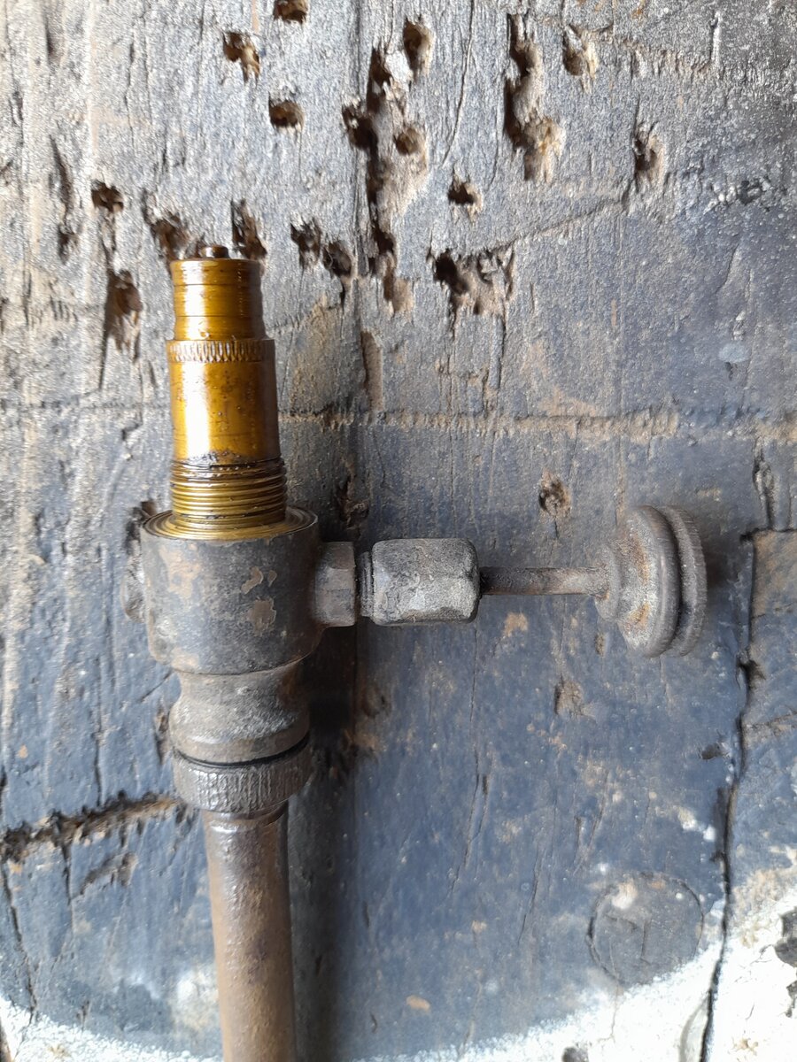 20220512_094457.jpg