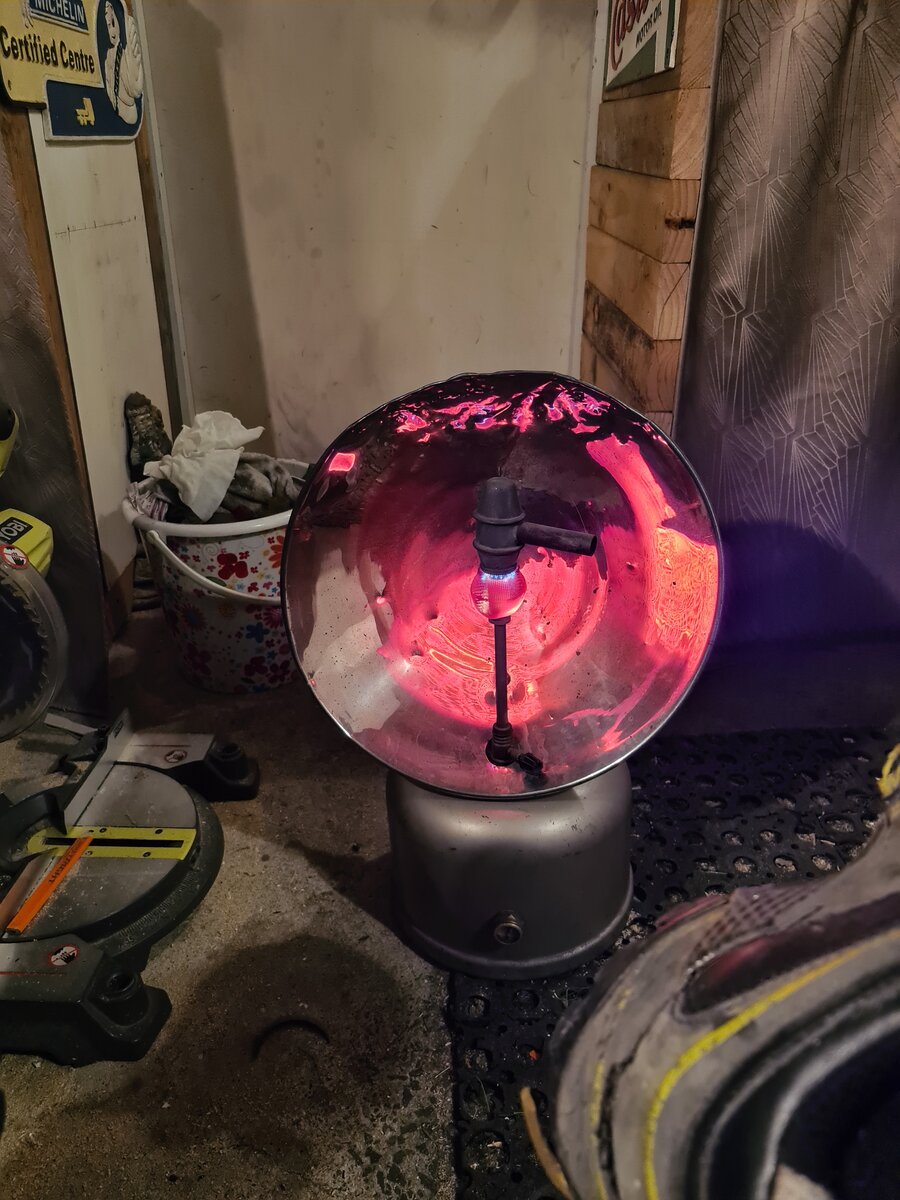 20220602_064040.jpg