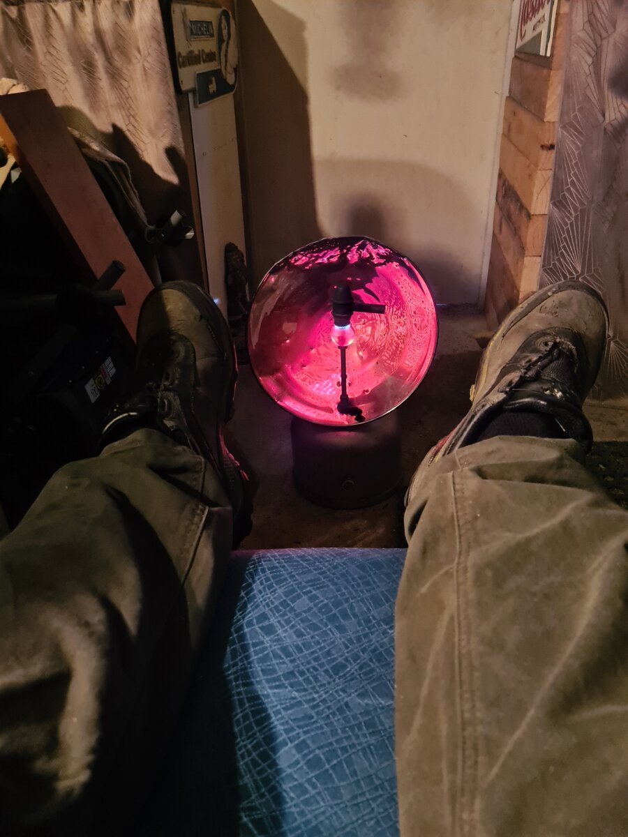 20220611_074648.jpg