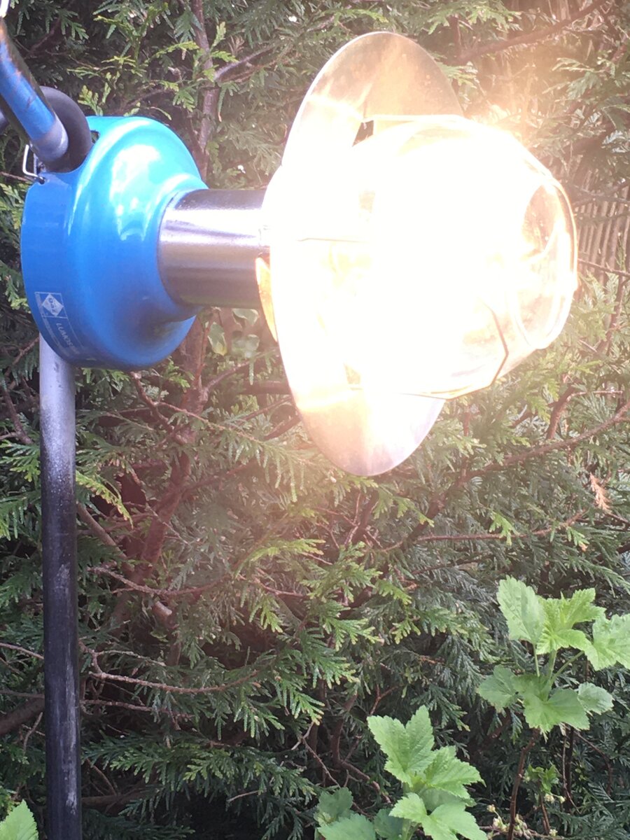 BA9D8E08-115B-4EA5-BC7D-CCDF9451ED3E.jpeg