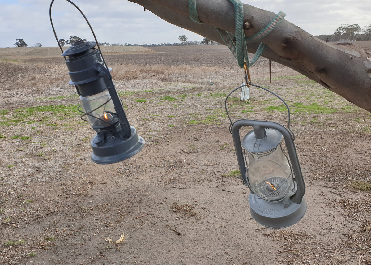 Chalwyn  & Lanora.jpg