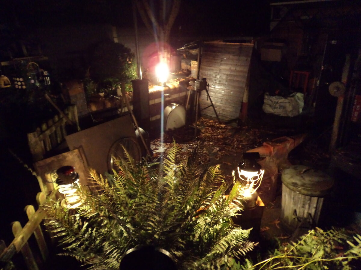 DSC07855.JPG