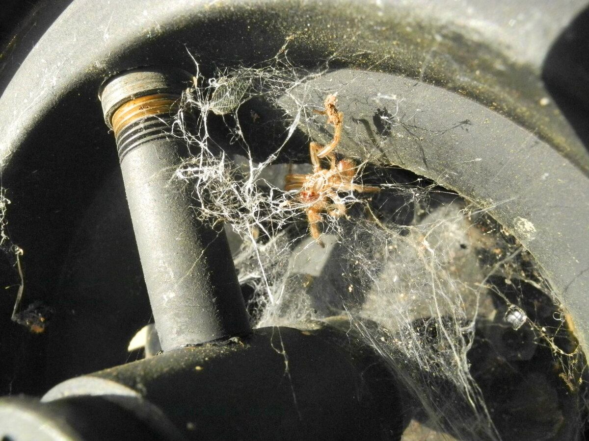 DSCN4784.JPG