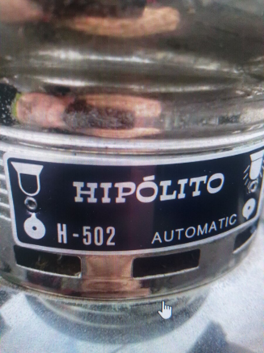 hipo33.jpg