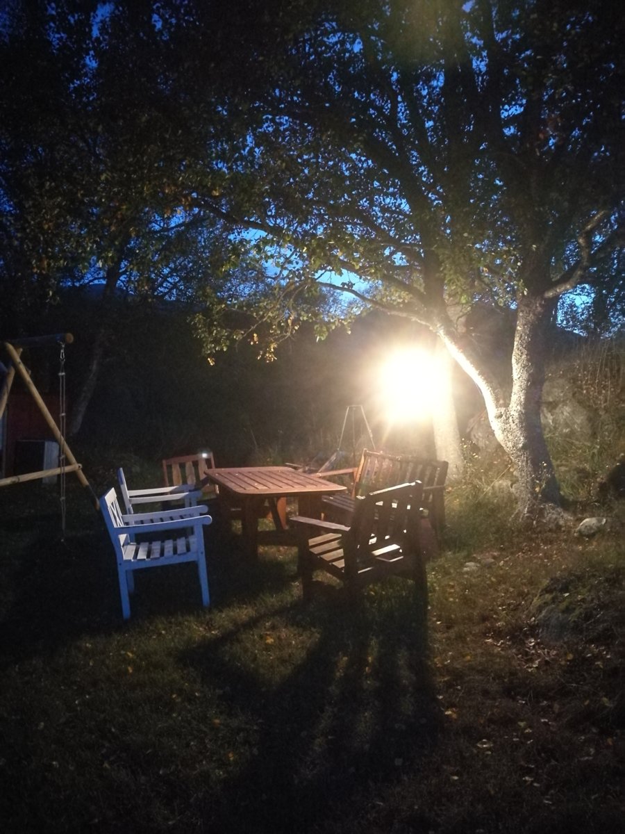 IMG_20190822_223250.jpg