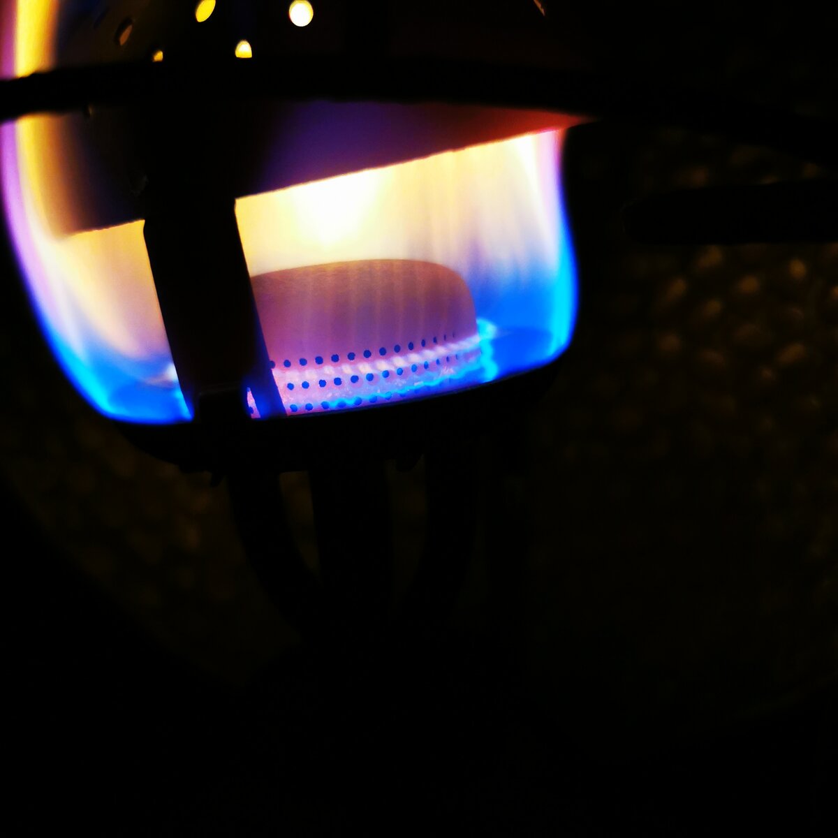 IMG_20211019_195419.jpg