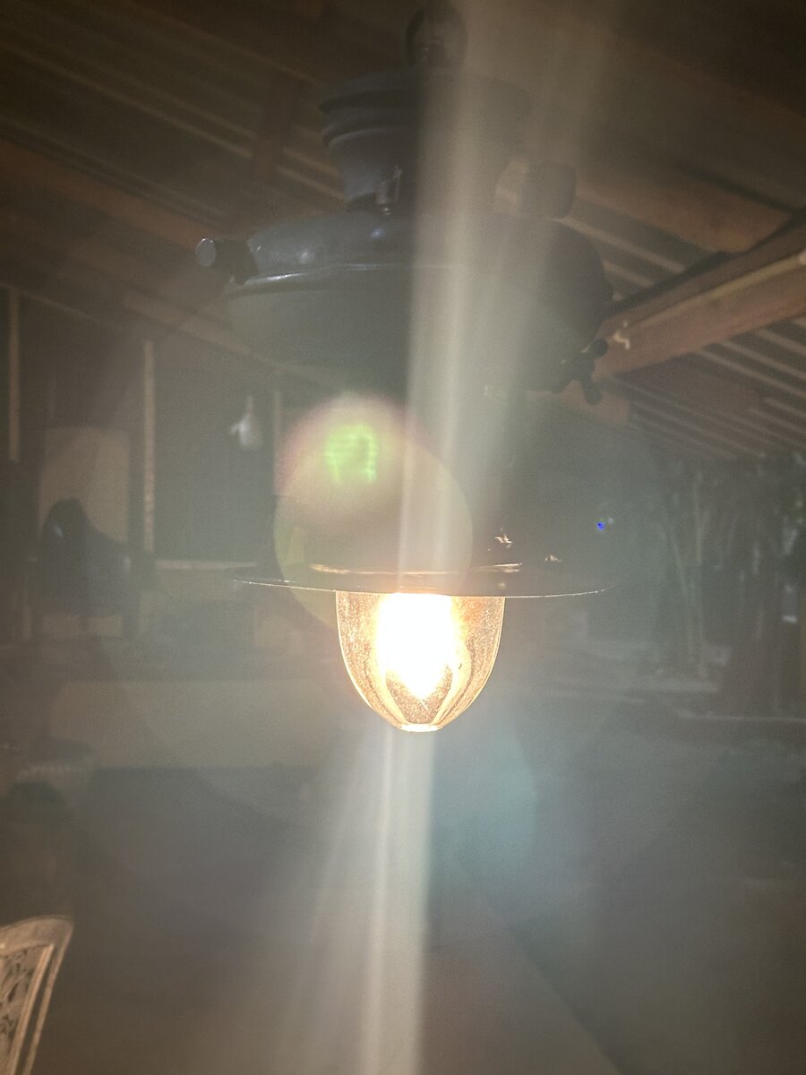 IMG_3136.jpeg