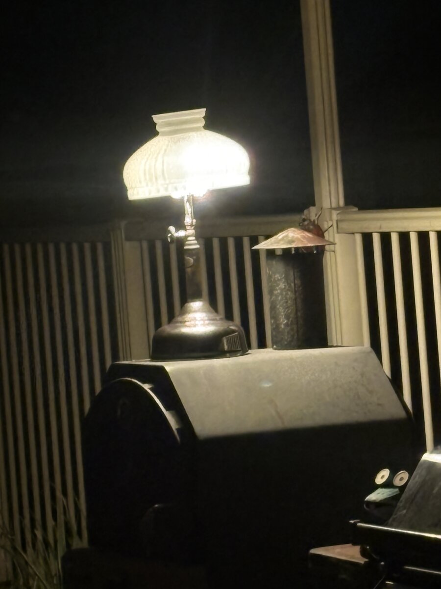 IMG_3450.jpeg