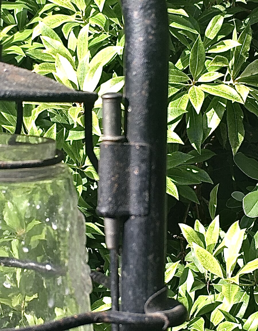 IMG_4710.jpeg