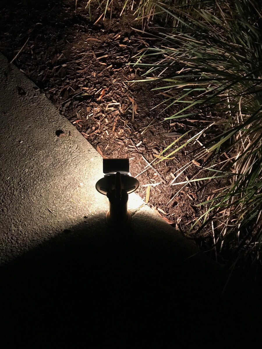 IMG_6116.jpeg