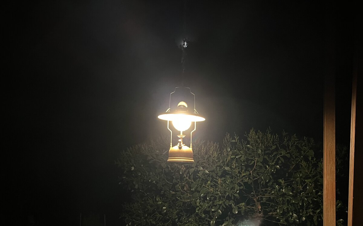 IMG_7824.jpeg