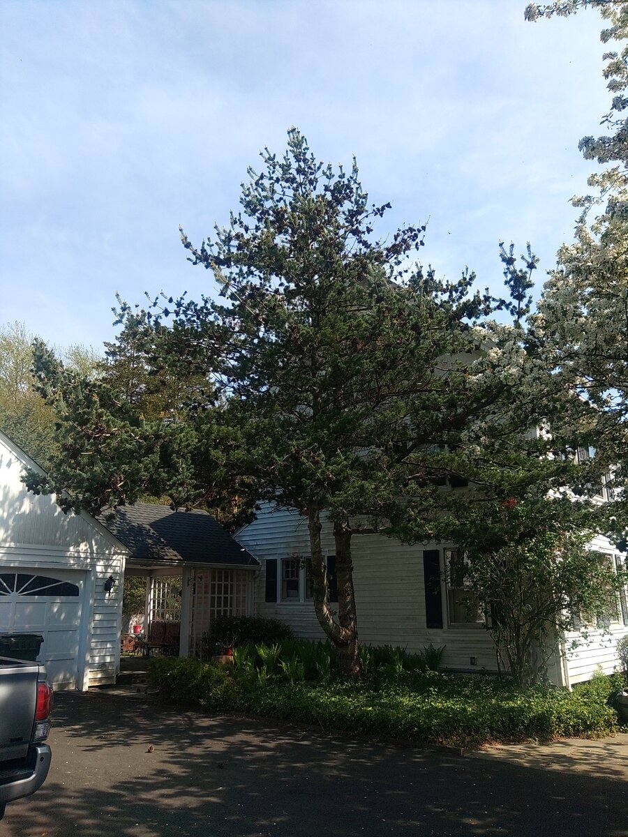 KIMG6830.JPG