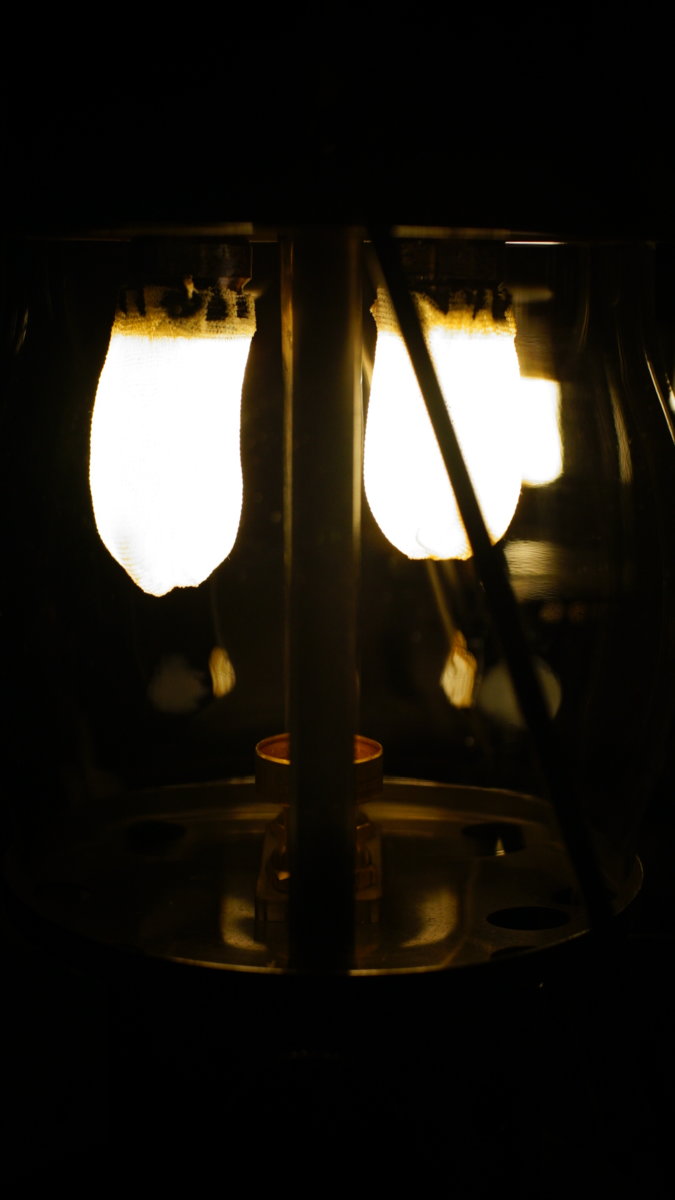 LRG_DSC02455.JPG