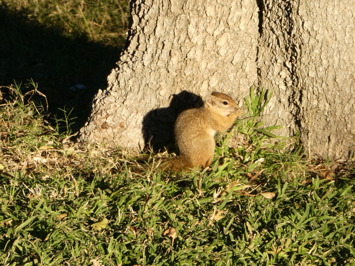 P1000618.jpg