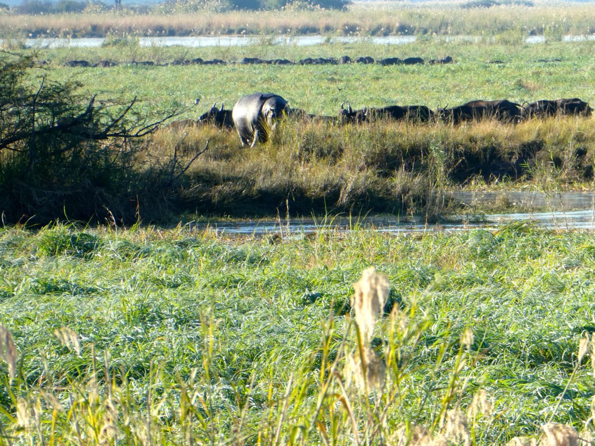 P1000894.jpg