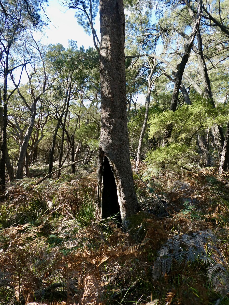 P1080679.jpeg