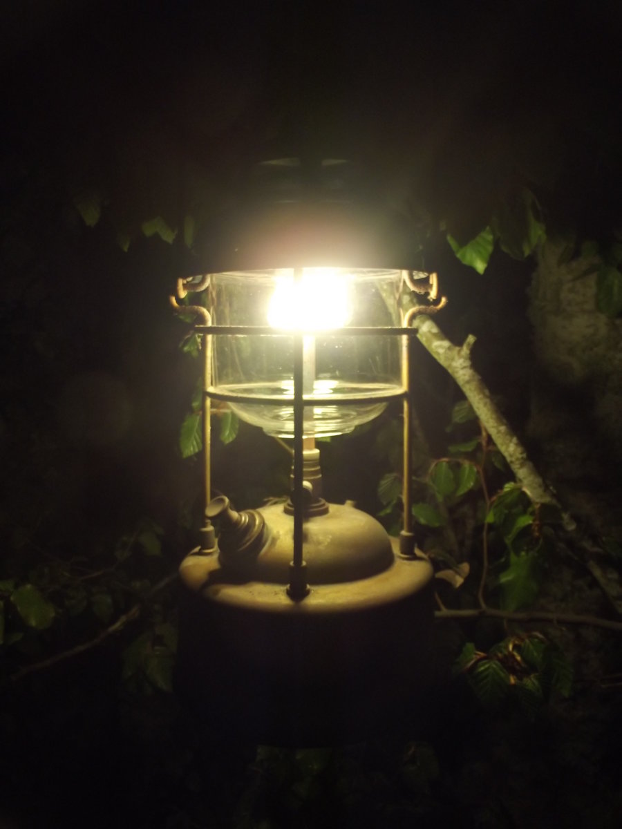porkiefirst light 005.jpg