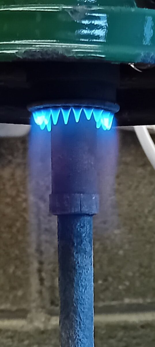 WhatsApp Image 2024-08-06 at 19.41.04.jpeg