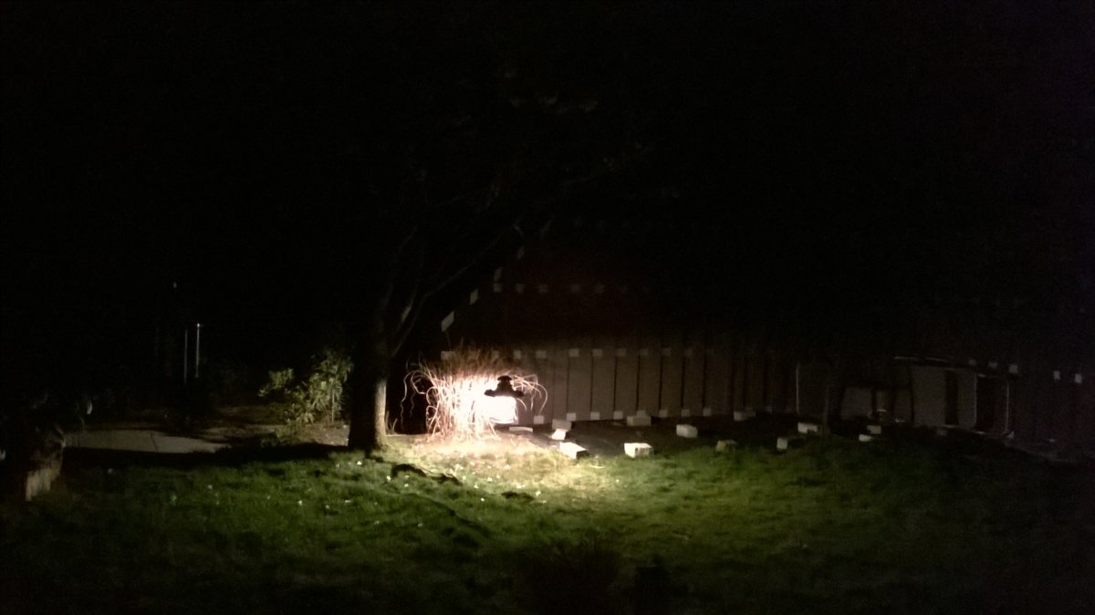 WP_20190330_004.jpg