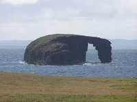 1304110707-DORE_HOLM.jpg
