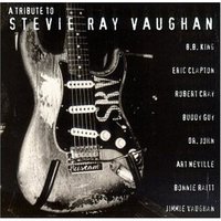 1307483620-A_TRIBTUTE_TO_STEVIE_RAY_VAUGHAN.jpg