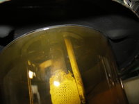 1321941320-IMG_1131.JPG
